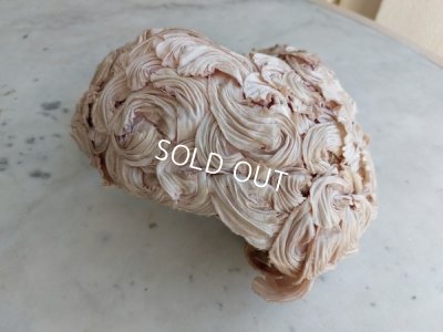 画像7: アンティークハット