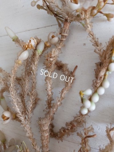 画像18: グローブドマリエワックスフラワーブーケ