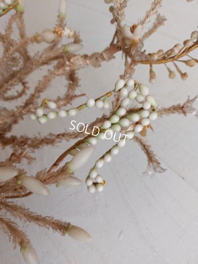 画像5: グローブドマリエワックスフラワーブーケ