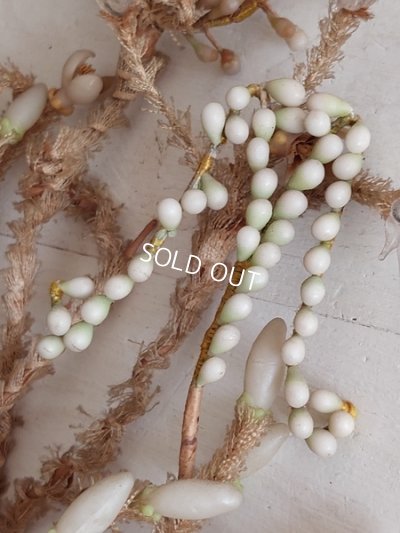 画像6: グローブドマリエワックスフラワーブーケ