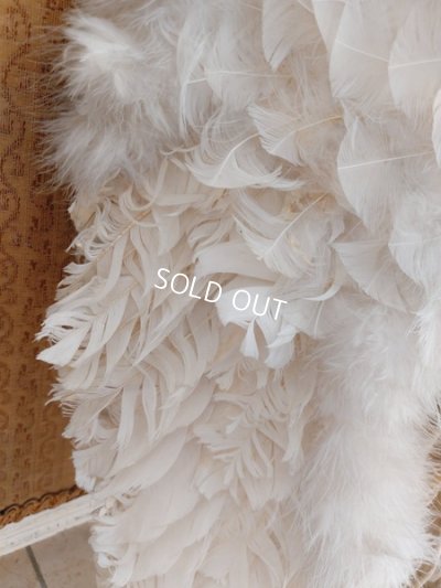 画像12: エンジェルウィング