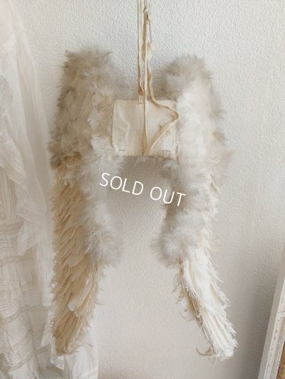 画像13: エンジェルウィング