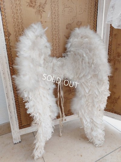 画像2: エンジェルウィング