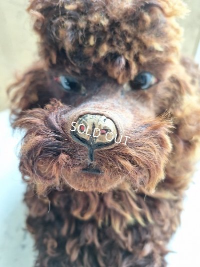 画像4: アンティークフレンチパジャマドッグ