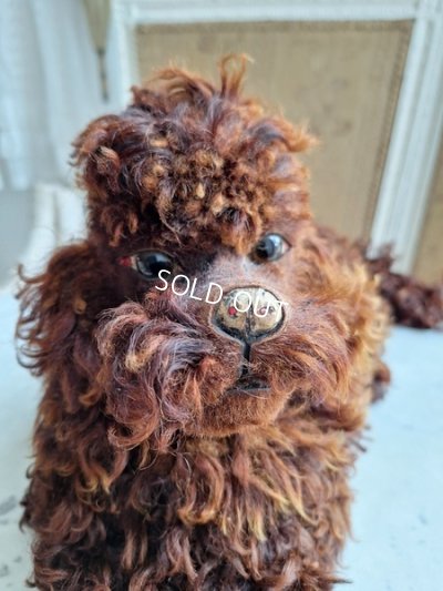 画像2: アンティークフレンチパジャマドッグ