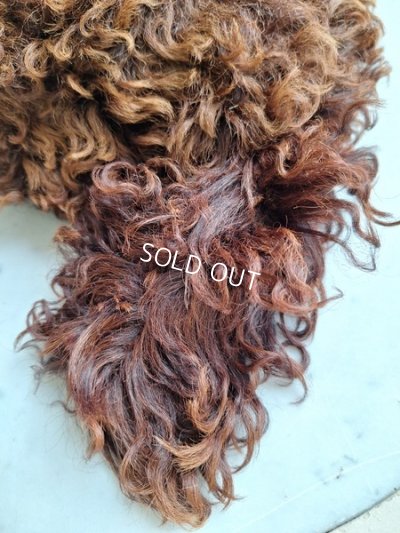 画像13: アンティークフレンチパジャマドッグ