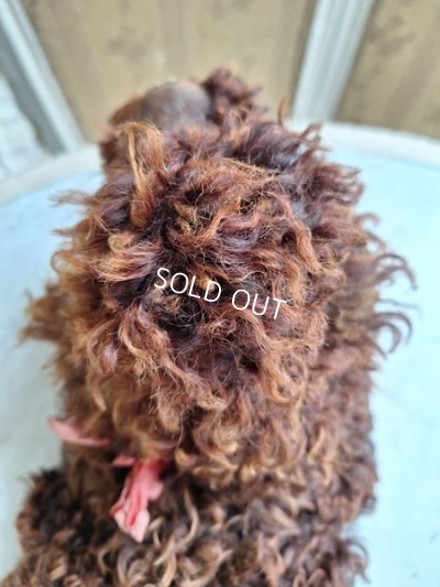 画像9: アンティークフレンチパジャマドッグ