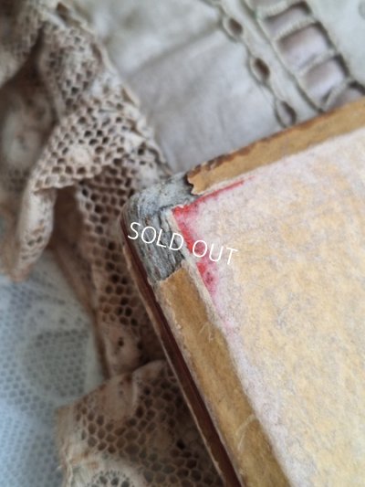 画像16: LES BEBES DES JARDIN DE PARIS絵本