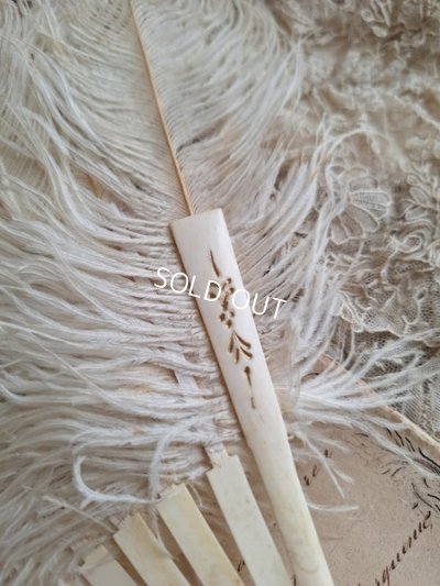 画像5: アンティークフェザーファン