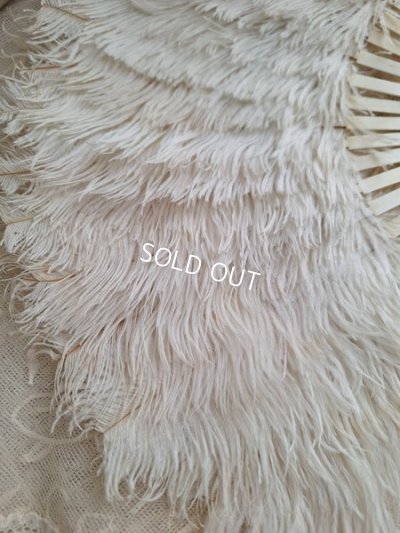 画像10: アンティークフェザーファン