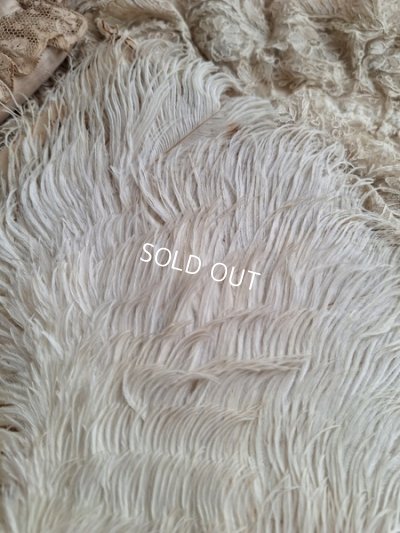 画像15: アンティークフェザーファン