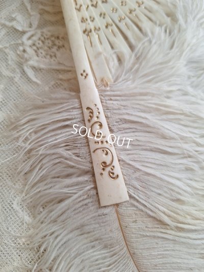 画像16: アンティークフェザーファン