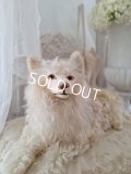 アンティークLou Louパジャマドッグ