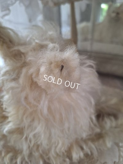 画像15: アンティークLou Louパジャマドッグ