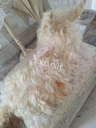 画像17: アンティークLou Louパジャマドッグ