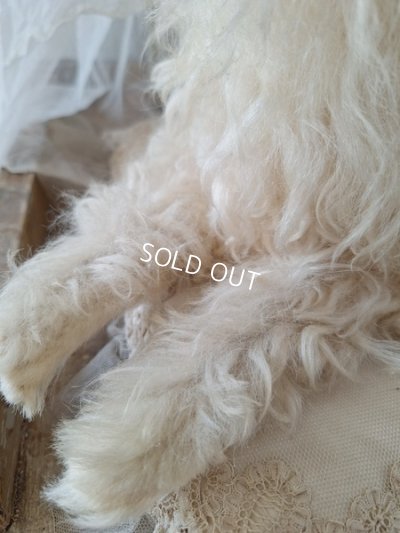 画像8: アンティークLou Louパジャマドッグ