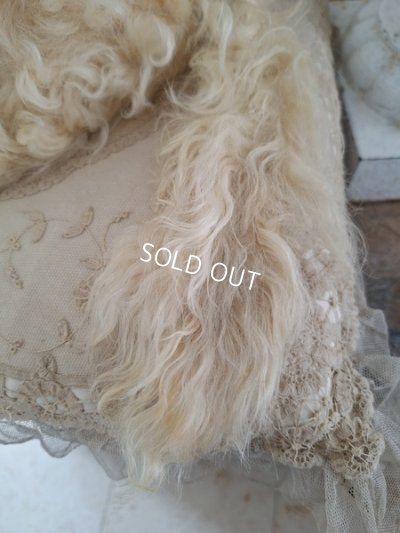 画像12: アンティークLou Louパジャマドッグ