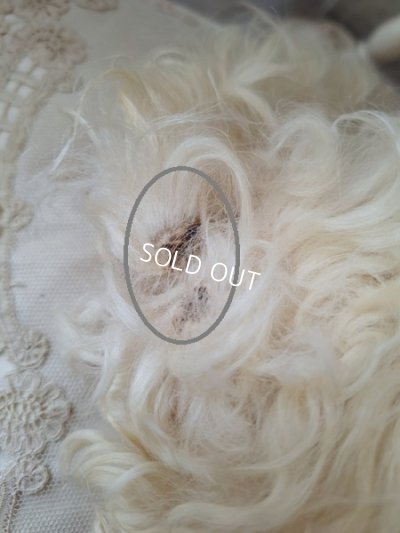 画像18: アンティークLou Louパジャマドッグ