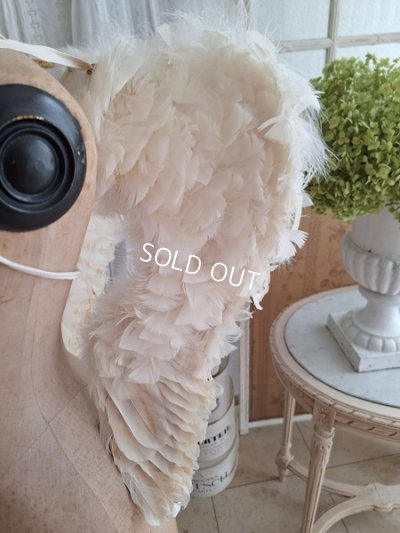 画像10: アンティークエンジェルウィング