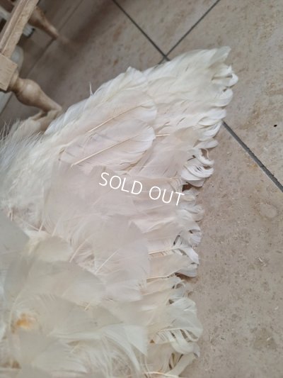 画像18: アンティークエンジェルウィング