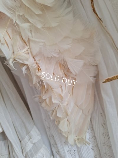 画像20: アンティークエンジェルウィング