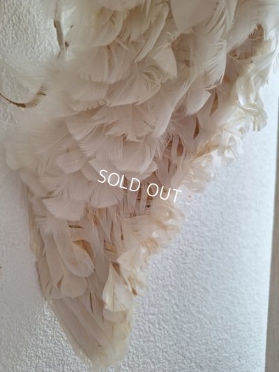 画像21: アンティークエンジェルウィング