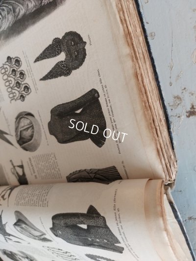 画像26: La mode Ilustreeモード本1886