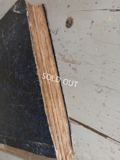 画像34: La mode Ilustreeモード本1886