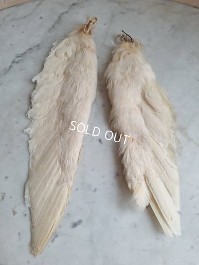 画像2: アンティーク小さなエンジェルウィング