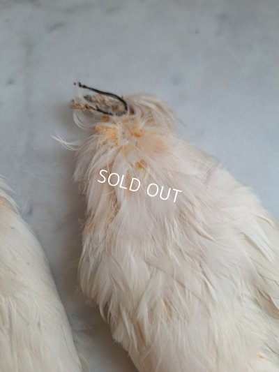 画像8: アンティーク小さなエンジェルウィング