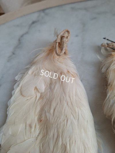 画像9: アンティーク小さなエンジェルウィング