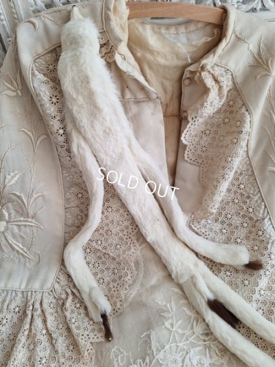 画像7: アニマルマフラー