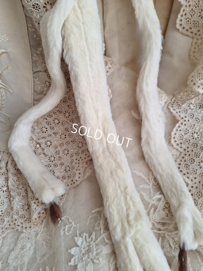 画像10: アニマルマフラー