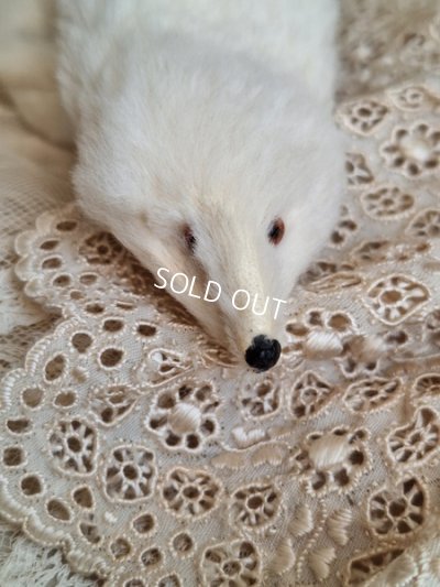 画像3: アニマルマフラー