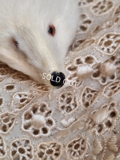 画像4: アニマルマフラー