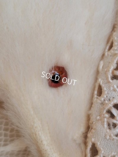 画像5: アニマルマフラー