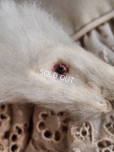 画像15: アニマルマフラー