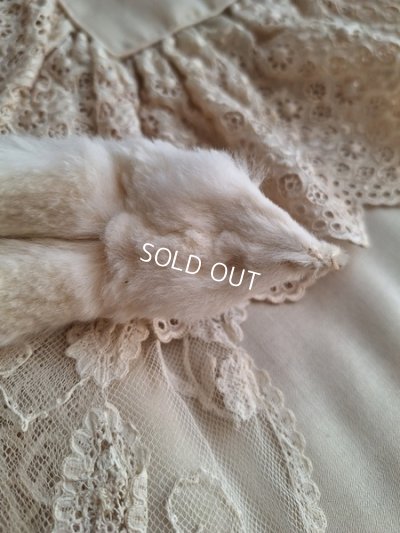 画像11: アニマルマフラー