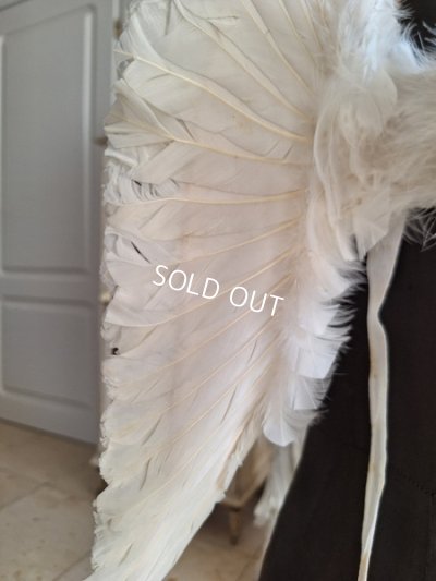 画像17: アンティークチャイルドエンジェルウィング