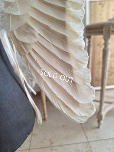 画像20: アンティークチャイルドエンジェルウィング