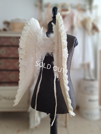 画像8: アンティークチャイルドエンジェルウィング