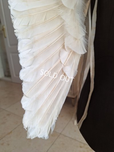 画像14: アンティークチャイルドエンジェルウィング