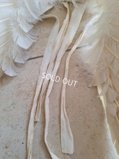 画像23: アンティークチャイルドエンジェルウィング