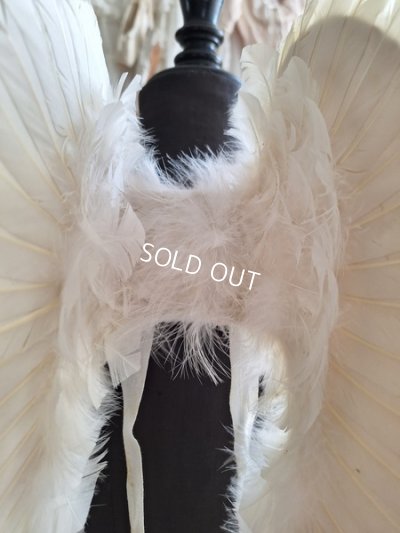 画像10: アンティークチャイルドエンジェルウィング