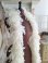 featherfur
