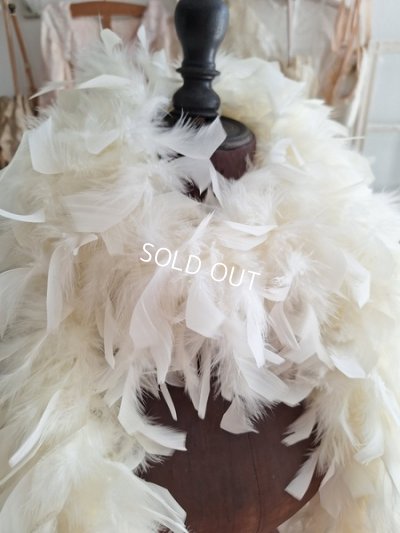 画像5: アンティークフェザーファー