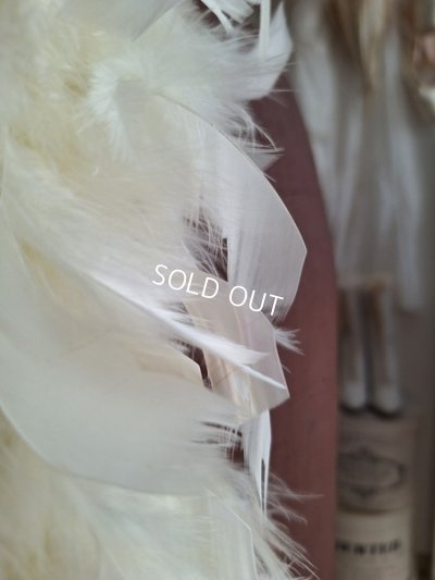 画像12: アンティークフェザーファー