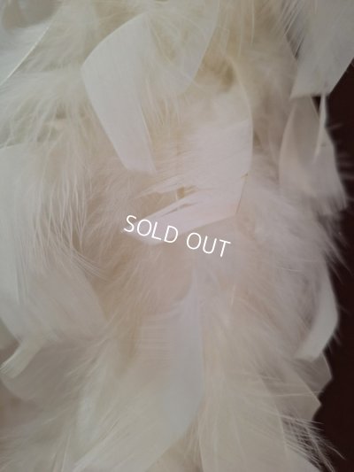 画像15: アンティークフェザーファー