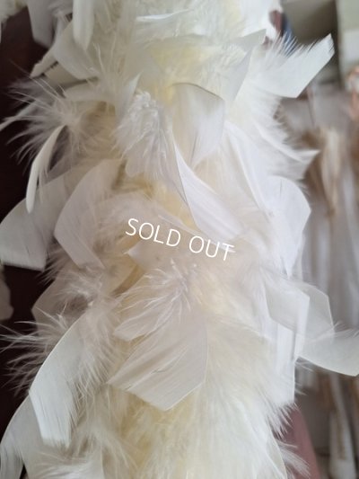 画像13: アンティークフェザーファー