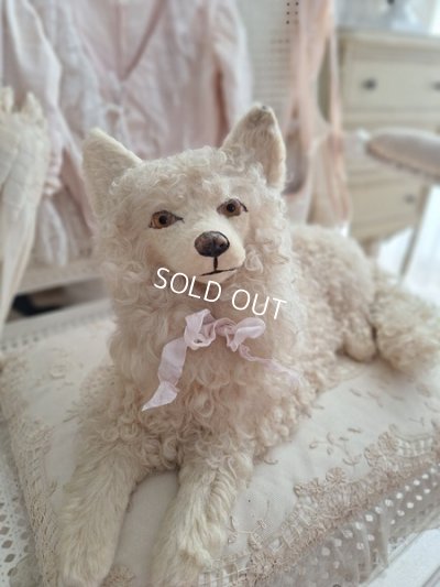 louloupajamadog
